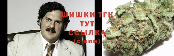 apvp Богданович