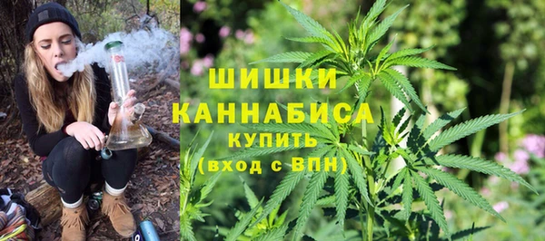 apvp Богданович
