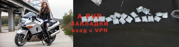 apvp Богданович