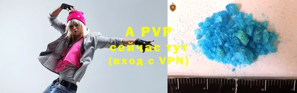 apvp Богданович