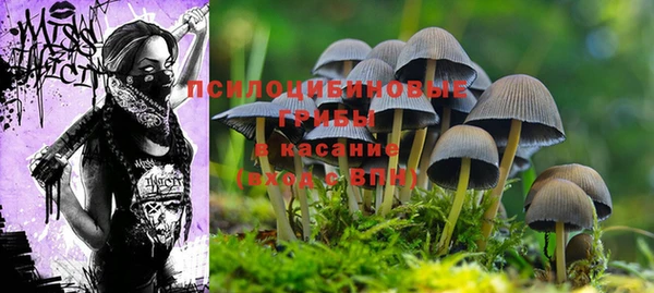 ALPHA-PVP Бородино