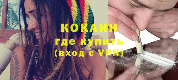 mix Богородицк